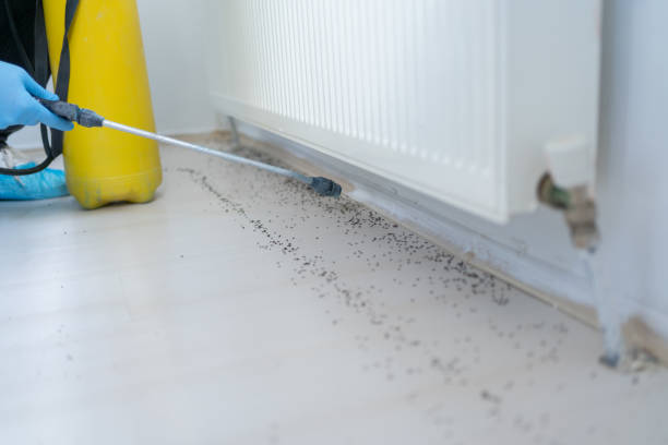 Best Wildlife Control Services  in New Hope, PA